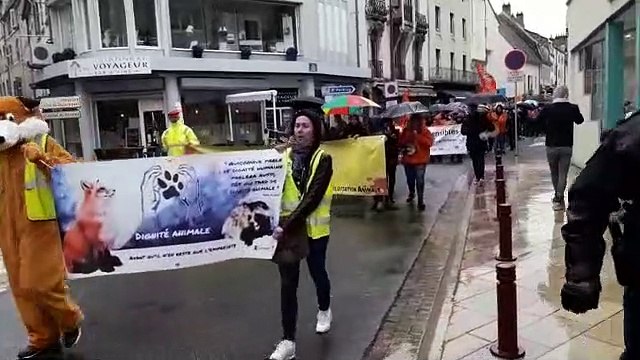 Vesoul : 180 personnes défilent dans les rues de Vesoul contre l'extension de l'élevage de visons d'Amérique de Montarlot-lès-Rioz