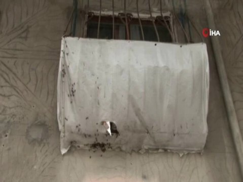 Sultangazi'de Mahalleyi Arılar Bastı