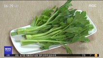 [스마트 리빙] 꽃가루 알레르기 있다면 '셀러리' 주의