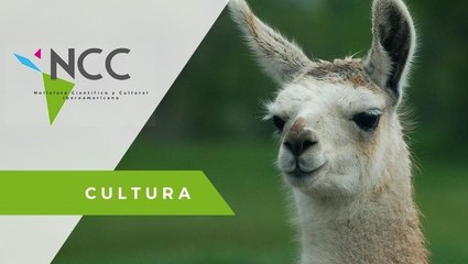 Una llama activista marcha por los derechos civiles