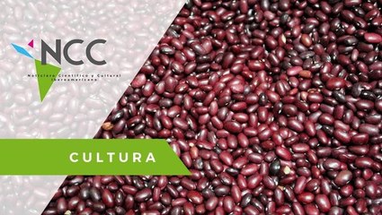 Se dispara el precio del frijol en Brasil