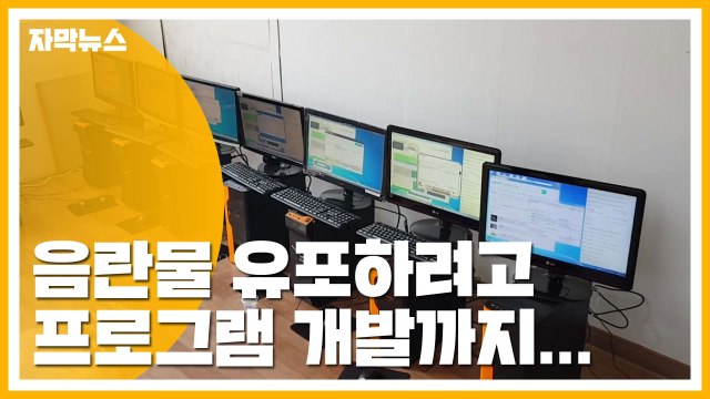[자막뉴스] 음란물 110만 건 유포... 24시간 자동 업로드 / YTN
