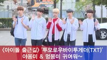 투모로우바이투게더(TXT), '야옹 멍멍' 귀여운 소년들