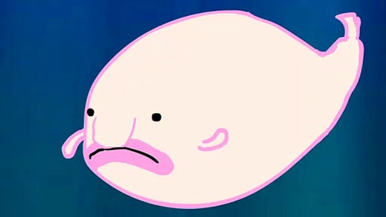 The Blobfish Song - video Dailymotion