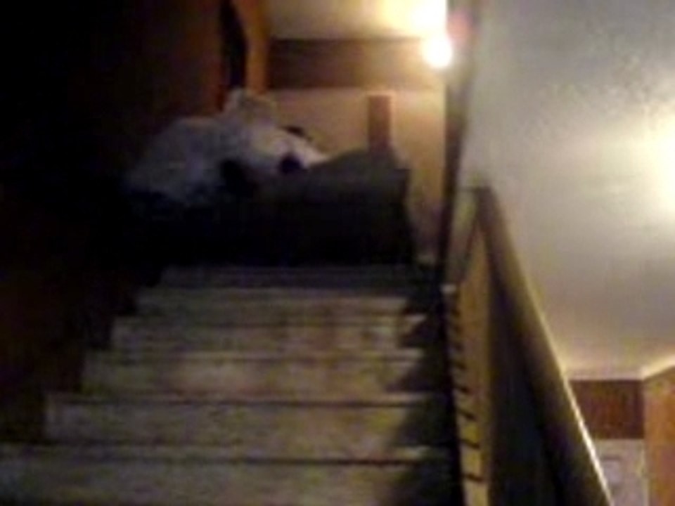 MOV00182