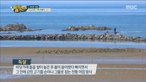 [Power Magazine] Korea Trip - Beautiful travel site for family, Taean, 파워매거진 20190503