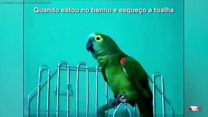 Últimos vídeos de comédia