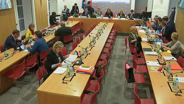 Commission des lois : Transformation de la fonction publique (suite) (Art. 12 à après l'art.16, adt 763) - Jeudi 2 mai 2019