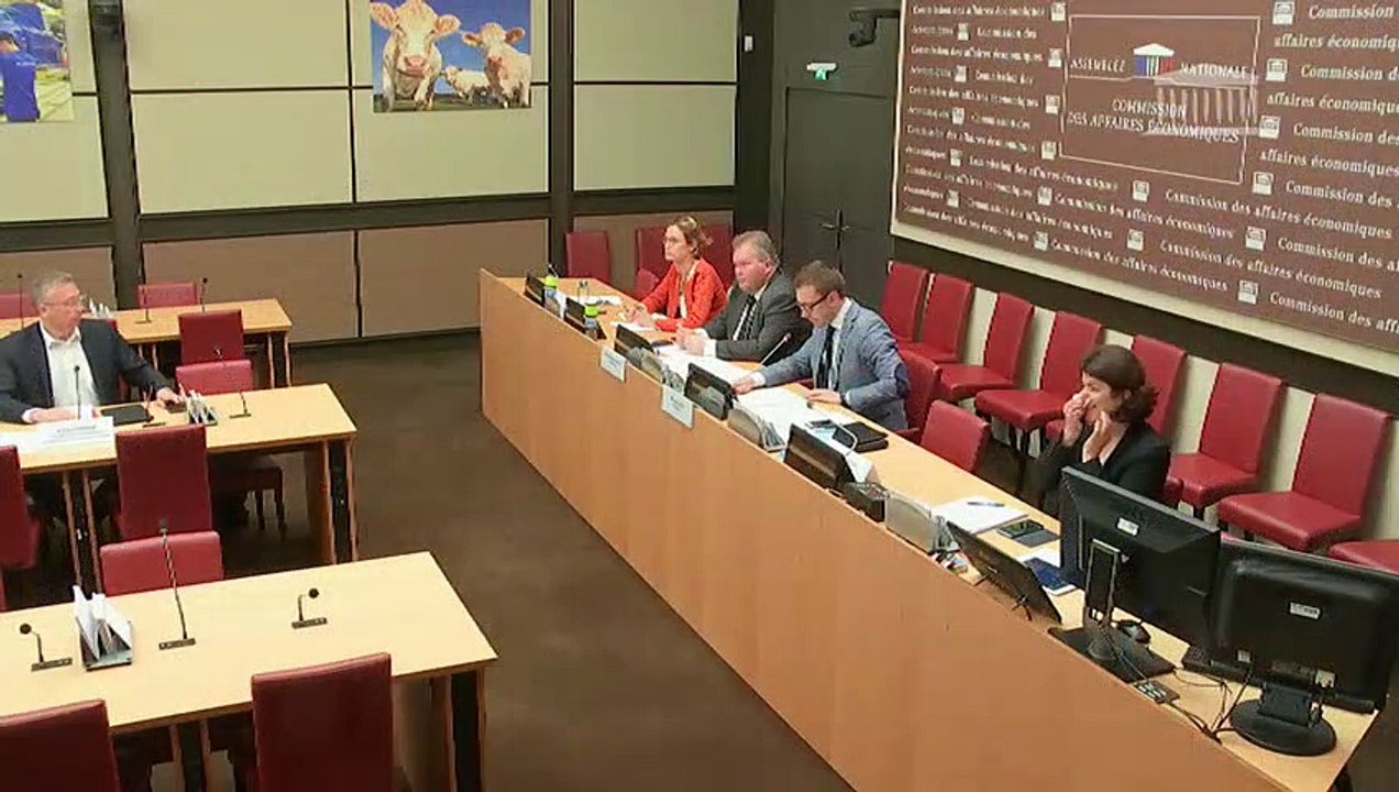 Stratégie de sortie du glyphosate : Audition de l’Association Générale des Producteurs de Blé (AGPB) ; Audition de la Fédération Nationale d'Agriculture Biologique des régions de France (FNAB) - Jeudi 2 mai 2019