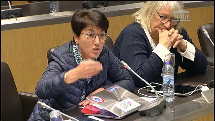 Commission d'enquête sur la grande distribution : Auditions diverses - Jeudi 2 mai 2019