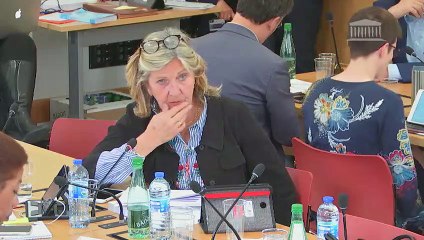 Commission des lois : Transformation de la fonction publique (suite) - Jeudi 2 mai 2019