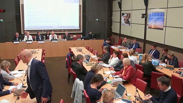 Commission des affaires économiques : Pré-enseignes ; Interdiction de la pêche électrique - Mardi 30 avril 2019
