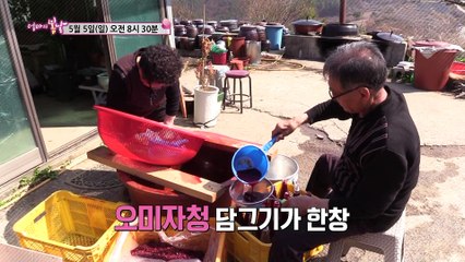 순자 엄마의 산골 라이프_엄마의 봄날 190회 예고
