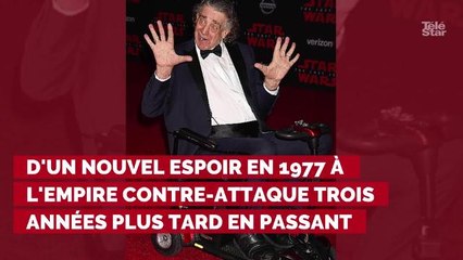 Peter Mayhew : le premier interprète de Chewbacca dans Star Wars est mort