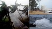 Sound and Fury: Watch this Frightening Video of Cyclone Fani Hitting Odisha | Oneindia News