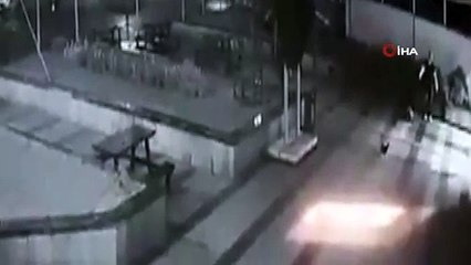 İçinde yavruların olduğu kedi evini metrelerce uzağa böyle fırlattı