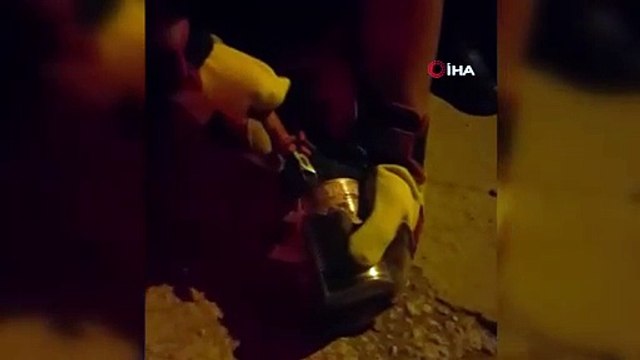 Kafası konserve kutusuna sıkışan kediyi itfaiye kurtardı