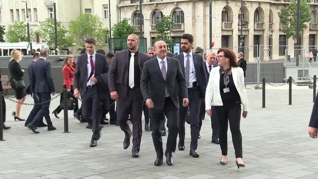 Dışişleri Bakanı Çavuşoğlu, Macaristan Ulusal Meclis Başkan Yardımcısı Jakab ile görüştü - BUDAPEŞTE