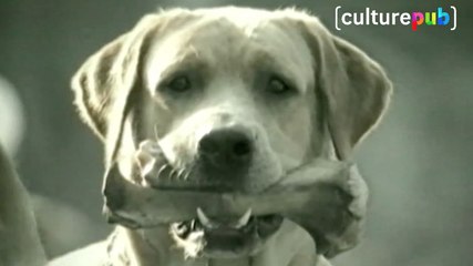 House of Ads - Farce à la sauce thaï