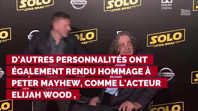 Mort de Peter Mayhew : les acteurs de Star Wars rendent hommage au plus doux des géants