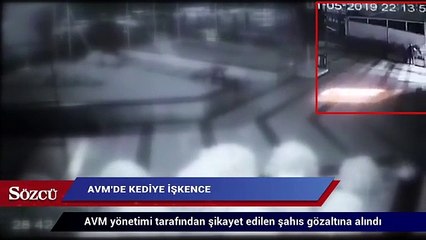 AVM’de kediye işkence