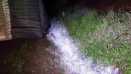 Carreta tomba na BR-467, após ser fechada por outro caminhão