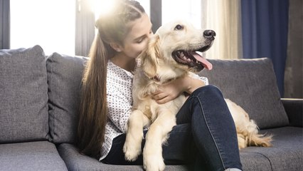 ¿Es mi perro feliz? Depende de mí