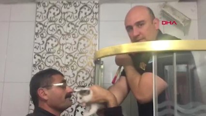 Manisa Havalandırma Bacasına Düşen Yavru Kediyi İtfaiye Kurtardı