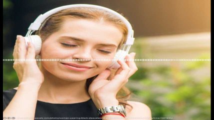 Minute Papillon! Flash midi - 3 mai 2019