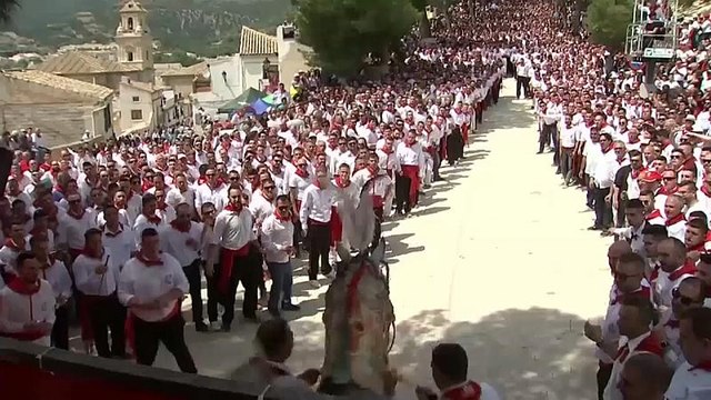 Los Caballos del Vino de Caravaca de la Cruz