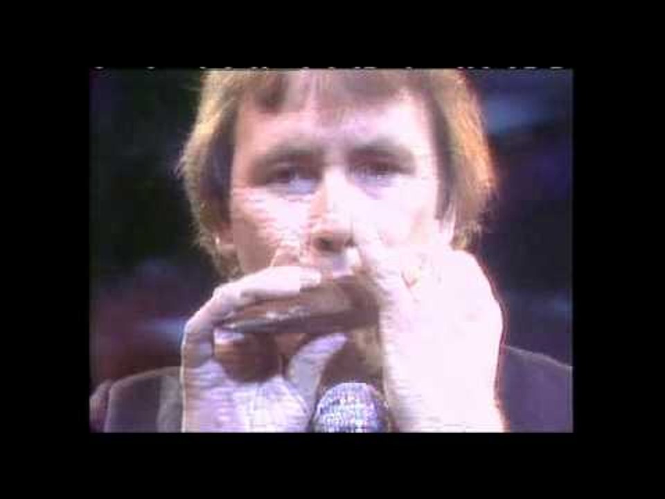 The Troggs Wild Thing