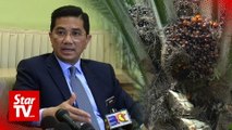 Azmin: Idle government land can be used for agriculture