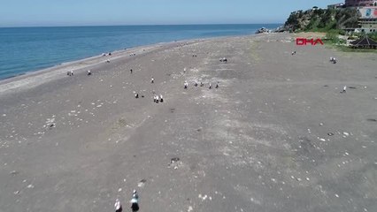 Zonguldak Liseliler, Sahili Çöpten Temizledi