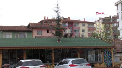 Tokat 20 Yıllık Çam Ağacının Kesilmemesi İçin Projeyi Değiştirdi