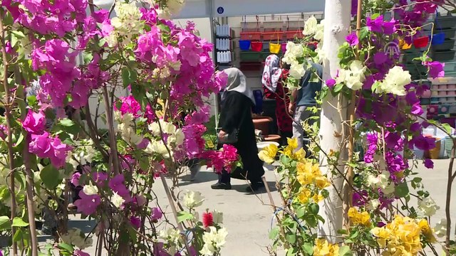 22. Bayındır Uluslararası Çiçek Festivali başladı - İZMİR