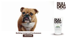 BullDog Soin