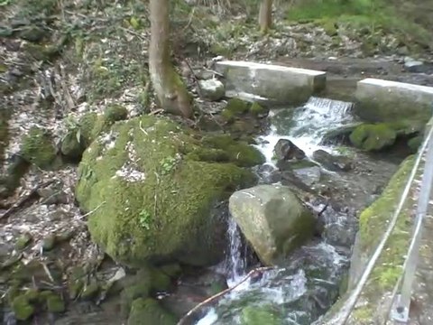 Circuit du Bois de Bartelère 720m - Saint-Pierre-de-Mésage 38220