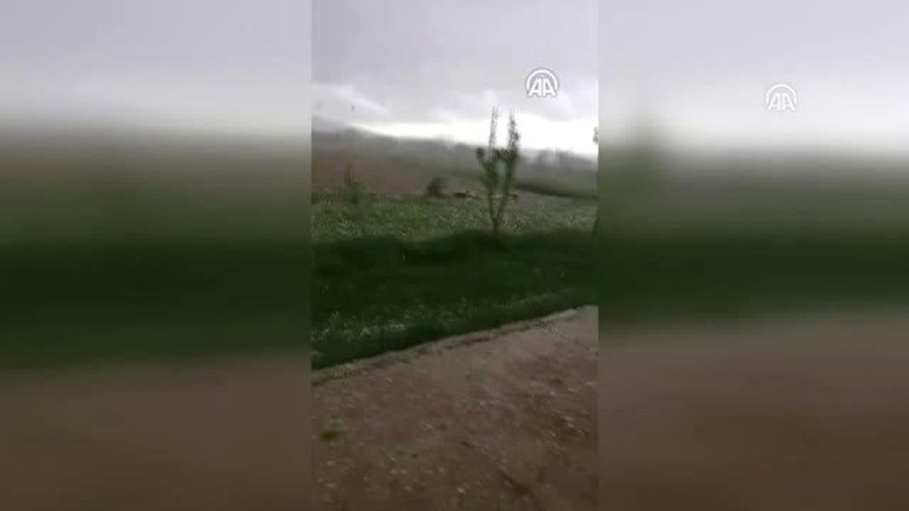 Niğde'de Dolu Meyve Ağaçlarında Hasara Neden Oldu (2)