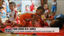 40% of N. Korean population suffers from food shortage: UN