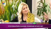 Show Tv'de Zahide Yetiş'in Programına konuk olan Dr. Hakan Özkul Fitoterapi'yi anlattı.