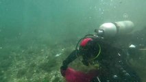 Bodrum'da Dalgıçlar Deniz Dibini Temizledi