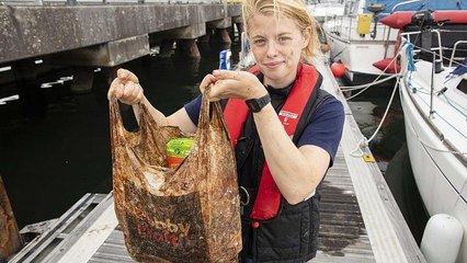 Watch: Biodegradable bags are not truly biodegradable, new study says