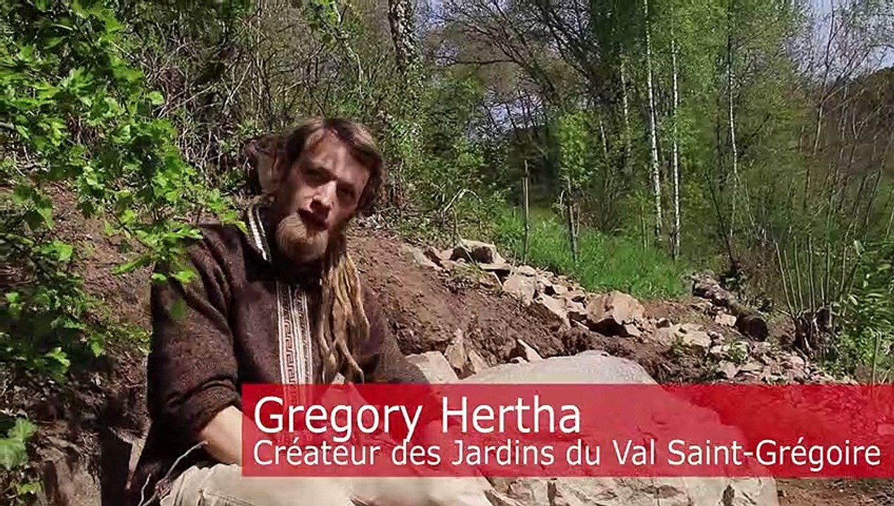 Les hôtels à "petites bêtes" de Gregory Hertha