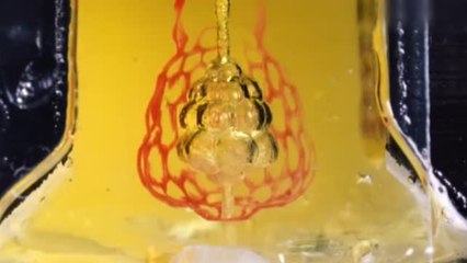Crean por bioimpresión 3D  redes vasculares capaces de llevar nutrientes a los órganos