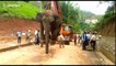 Forest officials rescue wild elephant and crane him off to sanctuary in east India