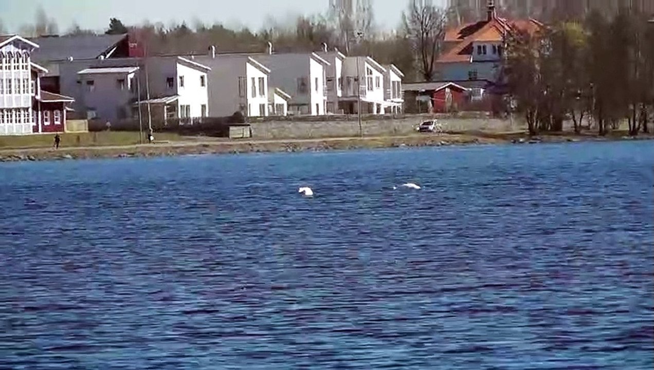 Apr 18 2019 F2