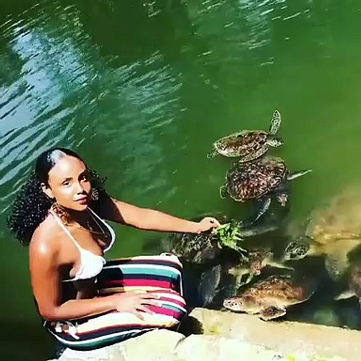 Quand une nymphe nourrit les tortues, voici ce que ça donne. Magnifique !