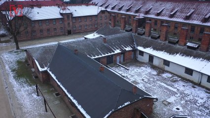 Poll: More Than Half of Austrians Believe Holocaust Could Happen Again