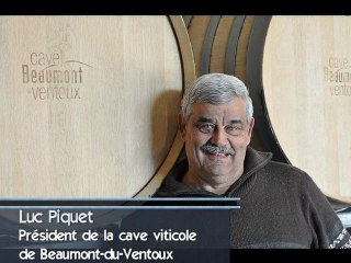 La vigne du Pape Clément V replantée à Malaucène dans la Vaucluse