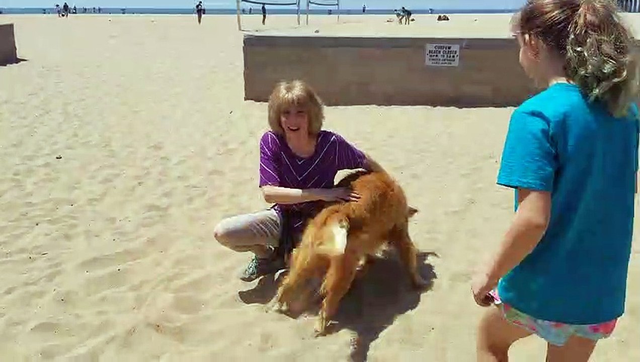 Dog and Grandma Reunited After More than a Year Apart